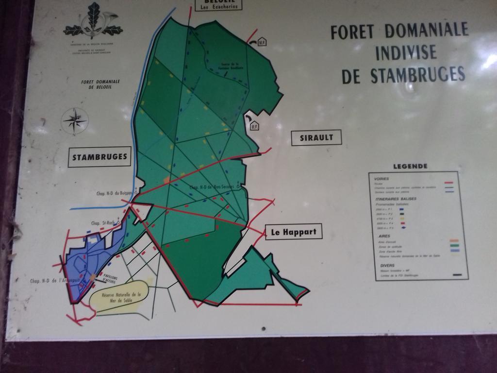 Aux Charmes De La Campagne Villa Hautrage Kültér fotó